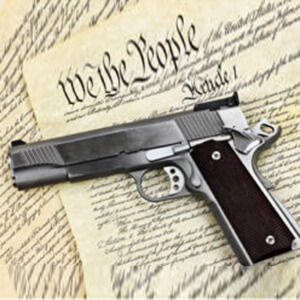 Indian River Criminal Defense Attorney Defends Second Amendment Rights