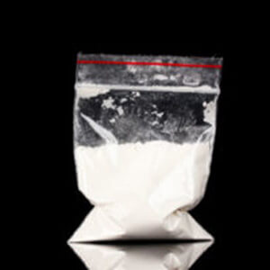 Florida Mom Found with Block of Cocaine